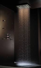 Rainforest Shower Dream House House Design Home