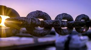 If you really believe in the cryptocurrency you invest in, you should learn to hold on to your investment even when the prices drop. Solving Real World Problems With Distributed Ledger Technology To Net