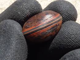 Image result for Macropsychanthus