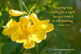 Biblical Quotes And Flowers. QuotesGram