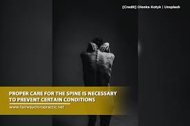 When lifting properly, you should: Spine Trivia You Probably Didn T Know Fairway Chiropractic Center