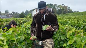 Curtis 50 cent jackson has been hashtagging get the strap under every single post that he uploaded. 50 Cent On His Car Collection Champagne Brand And Tv Career Robb Report