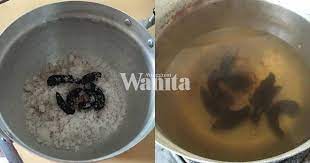 Ubat cacing kucing berapa kali. Guna Tiga Bahan Dapur Buat Untuk Mandi Petua Hilangkan Cacing Pada Anak Mingguan Wanita