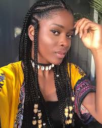 120 African Braids Hairstyle Pictures to Inspire You