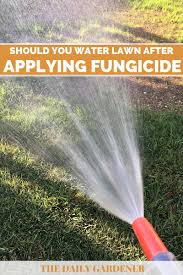 Bioadvanced Fungus Control For Lawns Instructions Should You Water Lawn After Applying Fungicide