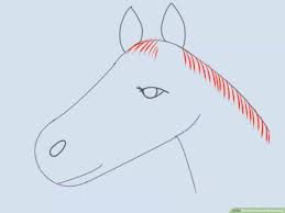 In order to draw a convincing horse, you will first need to know what. How To Draw A Horse Head 15 Steps With Pictures Wikihow