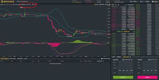 how to read crypto charts on binance for beginners the