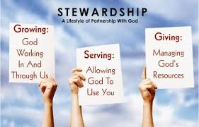 Pin On Inspiration Stewardship