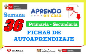 Descarga gratis ficha de ejercicios de porcentajes para estudiantes de primero de secundaria o estudiantes de 12 a 13 años. Semana 36 Fichas De Autoaprendizaje Aprendo En Casa Primaria Y Secundaria Del 07 Al 11 De Diciembre Tus Materiales Docente