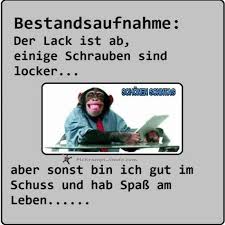 Sonntag Mckrampi 100 Free Spruche Leben Lustig Lustige Spruche Spruche