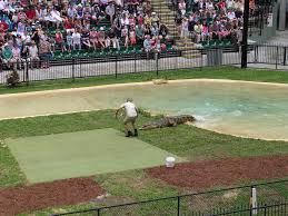 A couple of great quotes from steve: Steve Irwin Steckbrief Promi Geburtstage De