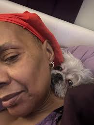 Durable Toy for Energetic Shih Tzus