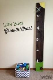 Little Bugs Diy Growth Chart