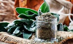 There are so many sage substitutes you can use and have (almost) the same strong scent and a mildly bitter taste the sage has to offer. Find The Best Substitute For Sage Kitchenvile