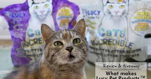 We can accomplish this goal with your help and support of the following initiatives: Review Giveaway What Makes Lucy Pet Products Cats Incredible Cat Litter Well Incredible The Chesnut Mutts
