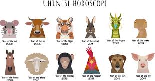 They are observant, independent, and a bit of a perfectionist, just like the bear. Chinese Astrology More Than 12 Animals Cafe Astrology Com