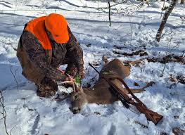 4 deer, elk hunting proposals approved, 5 rejected by Pa. Wildlife  Management Committee