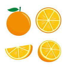 Orange Fruit Vector Illustration Isolated On White Background Orange Fruit Clip Art Fruit Orange Slice Png And Vector With Transparent Background For Free Do In 2021 Fruit Vector Orange Orange Fruit