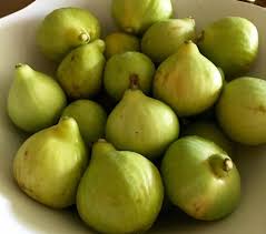 A Guide To Growing Figs Finegardening