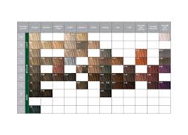 Essensity Color Product Range