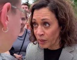 Bryce Benedict's Instagram, Twitter & Facebook