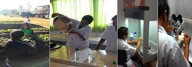 We did not find results for: Berita Glorialinda