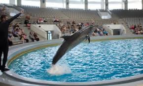 Complexul muzeal de științe ale naturii oferă și pachete pentru cei interesați. Tarife Mici De Extrasezon La Delfinariu È™i Acvariu Ordinea Ro