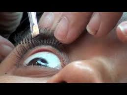 Strip Eyelashes Class How To Apply It With Glue And Tweezers By Esther Bolkin Eyelash Extensions Strip Eyelashes Diy Eyelash Extensions