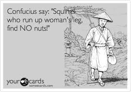 Check spelling or type a new query. 54 Confucius Ideas Confucius Say Confucius Quotes Sayings