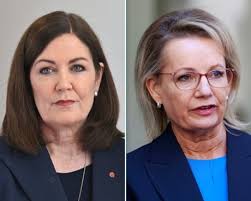 Former radio host Mark Parton elected ACT Liberal leader after Leanne  Castley and deputy quit