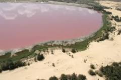 Image result for Lake Retba