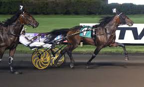 Melander Has Top Two Spots in Ken Warkentin's Road to the Hambletonian Week  9 — Hambletonian Society Inc