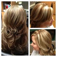 Grey highlights are absolutely fabulous on dark brown hair. Pin On Hair By Melissa Lobaito
