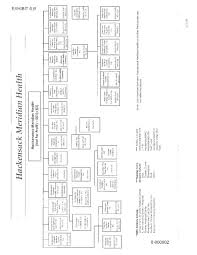 Hmh Hierarchy Chart Health Professionals Allied Employees