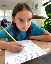 Teenage brothers from McLean launched an online tutoring service for  elementary school students