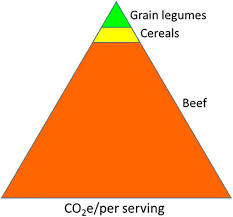 Batman forever (1995) cast and crew credits, including actors, actresses, directors, writers and more. Frontiers Rhizobial Host Interactions And Symbiotic Nitrogen Fixation In Legume Crops Toward Agriculture Sustainability Microbiology