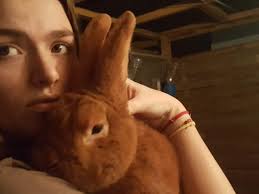 Club Français des Eleveurs de Lapins Fauve de Bourgogne