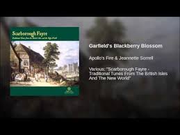 Garfield S Blackberry Blossom Not To Be Confused With Blackberry Blossom With Napoleon Crossing The Rockies Blossom Garfield Blackberry