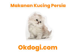 We did not find results for: 4 Menu Pilihan Makanan Kucing Persia Terbaik Okdogi Com