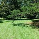 WOLF SPIRIT LAWN AND TREE CARE - Updated April 2024 - 31 Photos ...