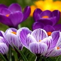 We did not find results for: Obituaries Whve 92 7 The Wave Home