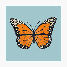 Maybe you would like to learn more about one of these? Aesthetic Butterfly Background Wall Art Redbubble