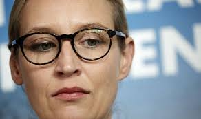 Having her as a leader for the afd attenuates their image, for example of the party being homophobic, so it even works as a justification of the party's statements. Who Is The Afd S Alice Weidel Far Right Lesbian Mother Tries To Bring Down Angela Merkel Politics News Express Co Uk