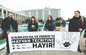 Barinaklar Nazi Kamplari Gibi