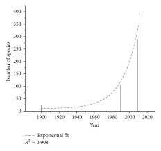 Image result for Rubus kirungensis