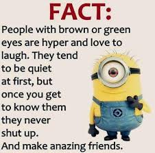 Brown Green Eyes Minions Funny Minion Jokes Funny Quotes
