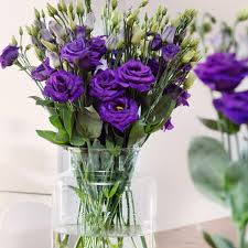 Maybe you would like to learn more about one of these? The Rose Without Thorns Thursd