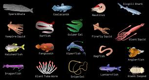 Creatures Of The Deep Sea Deep Sea Creatures On Sea And Sky