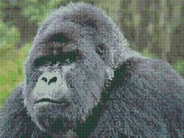 Cross stitch patterns for the whole family designed by connie barwick. Ann Logan 10 Free Patterns Online Mountain Gorilla 3263