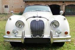 Image result for Bianco 1971 Alfa-Romeo